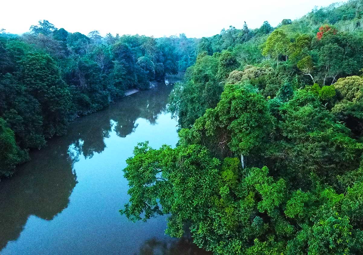 carson-csr-environment-protecting-hcv-areas