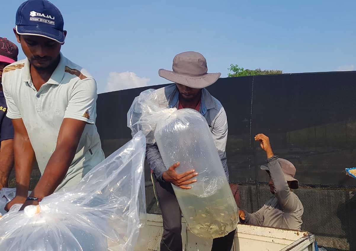 carson-esg-environmental-projects-image-1